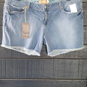 PAIGE Light Blue Distressed Jean Shorts with Frayed Hem